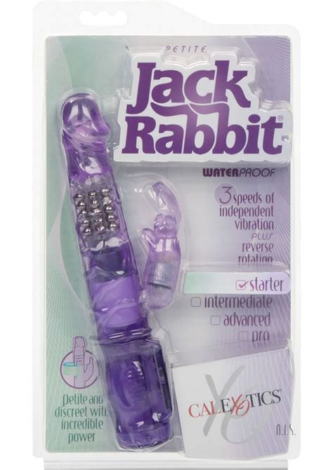 the rabbit vibrator